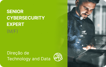 Submeta a sua candidatura para a função Analista de Dados.