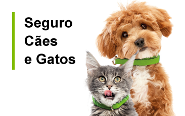 Seguro Cães e Gatos